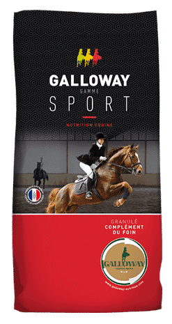 sac galloway Sport